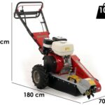 Benassi FR280 – Baumstumpffräse – Honda-Motor GX390 – Schneidegerät mit 12 Hämmern