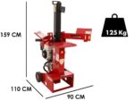 Ceccato SPL10H GP160 – Benzin Holzspalter – 10 T