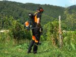 Echo RM-3020T – Rucksack-Motorsense – 30,5 ccm – Bild 2