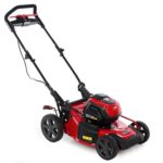 Elektrischer Rasenmäher Snapper ESXD19PWM82K, 46 cm – zum Schieben – 4 in 1
