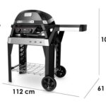 Elektrogrill Weber Pulse 2000 mit Gestell