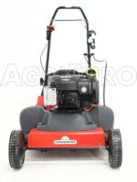 Eurosystems SC 42 B – Vertikutierer mit festen Messern – Motor B&S 450 – Bild 3