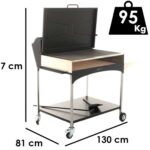 Famur BK 10 Elite – Holzkohle- und Holzkohlebrikett- Grill 2 in 1 – Gitter mit 8 mm-Drehgrillstäben
