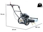 Kehrmaschine-Fadenmäher zum Schieben BlackStone WYT 60-173 – Motor 173 ccm