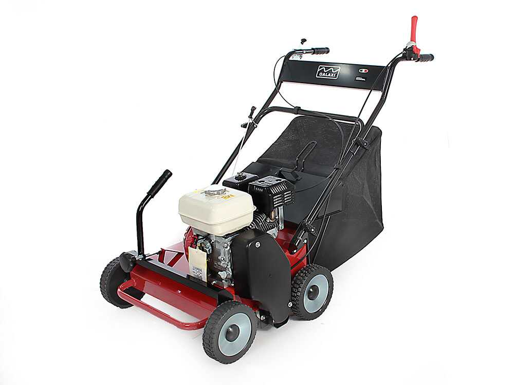 marina-systems-s500-profi-vertikutierer-mit-fliegender-messerwalze-honda-motor-gx-200-vertikutierer-ma-ri-na-systems-s500-12716_1_1521727515_IMG_8024-1.jpg Marina Systems S500 – Profi Vertikutierer mit fliegender Messerwalze – Honda Motor GX 200 – Bild 1