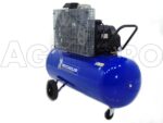 Michelin MCX 300 858 – Elektrischer Kompressor mit Riemenantrieb – Motor 7.5 PS – 270Lt – Bild 3