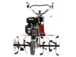 Motorhacke Ama MTZ80 – Fräse 80cm – Riemen- und Kettenantrieb – Motor 208ccm – Bild 3
