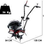 Motorhacke Benassi BL 20 mit 4-Takt Benzinmotor Loncin 140 ccm