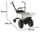 Motorschubkarre Eurosystems Carry mit Honda GCVx 170 Motor und Radantrieb