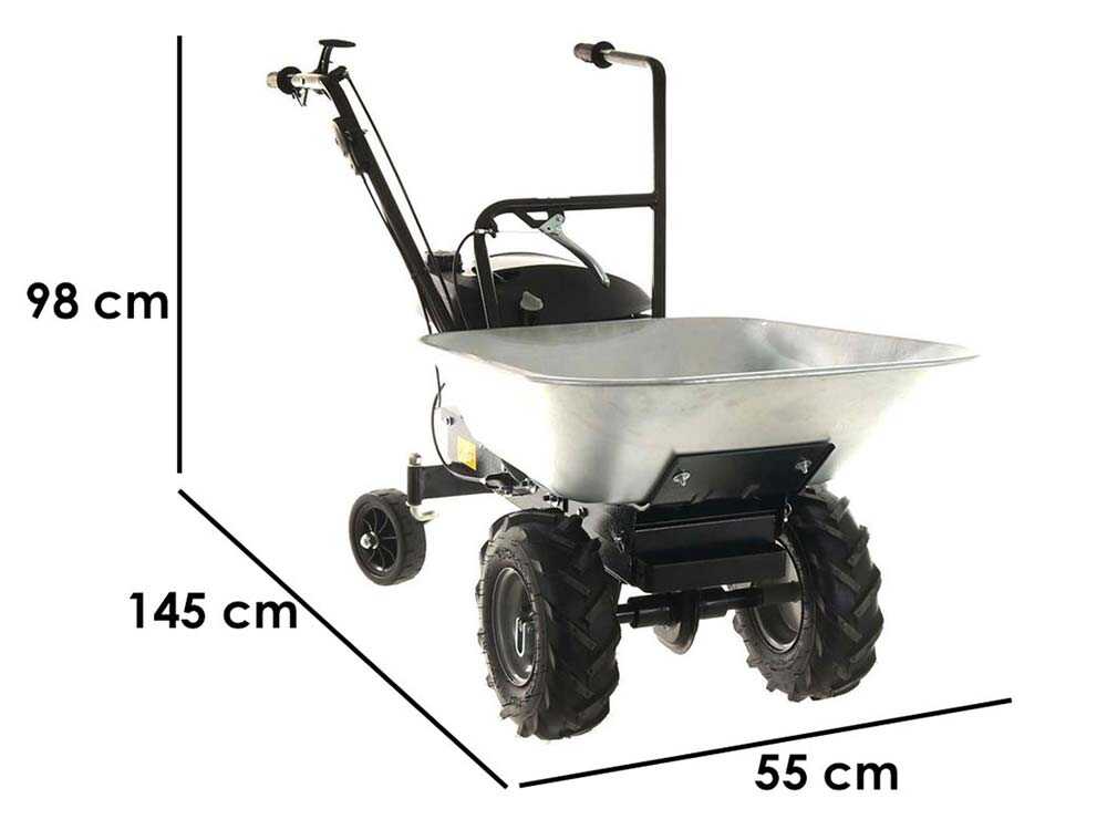 motorschubkarre-eurosystems-carry-mit-honda-gcvx-170-motor-und-radantrieb-motorschubkarre-eurosystems-carry-mit-radantrieb-24920_0_1725519412_IMG_66d95634c0ca6-2.jpg Motorschubkarre Eurosystems Carry mit Honda GCVx 170 Motor und Radantrieb – Bild 1