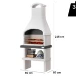 Palazzetti Dany – Grillkamin für Holz und Holzkohle